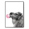 Fox Art Studio, Plakat Wielbłąd Bubble Gum, wymiary 40x50 cm