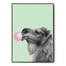 Fox Art Studio, Plakat Wielbłąd, Bubble gum,  wymiary 70x100 cm