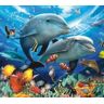 Norimpex Malowanie po numerach Delfiny, oceanarium 40 x 50 5608