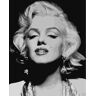 Malowanie po Numerach Zestaw Artimento 40x50 na Blejtramie, Marilyn Monroe
