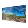 Panel kuchenny HOMEPRINT Kaktusy na pustyni 125x50 cm