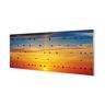 Tulup Szklana płyta Ptaki na linach zachód słońca 125x50 cm