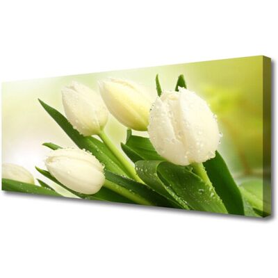 Inny producent Canvas Obraz wydrukowany na Płótnie Foto Tulipany Kwiaty Roślina 125x50 Inny producent Canvas Obraz wydrukowany na Płótnie Foto Tulipany Kwiaty Roślina 125x50