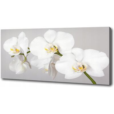 Inny producent Foto Obraz Canvas Na Ścianę Orchidea 125x50 Cm Inny producent Foto Obraz Canvas Na Ścianę Orchidea 125x50 Cm