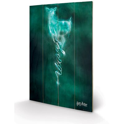 Grafika na drewnie PYRAMID INTERNATIONAL Harry Potter Doe Patronus, zielono-czarny, 40x59x150 cm Grafika na drewnie PYRAMID INTERNATIONAL Harry Potter Doe Patronus, zielono-czarny, 40x59x150 cm