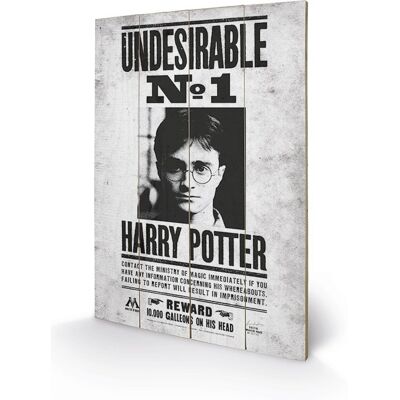 Grafika na drewnie PYRAMID INTERNATIONAL Harry Potter Undesirable No1, szaro-czarny, 40x59x150 cm Grafika na drewnie PYRAMID INTERNATIONAL Harry Potter Undesirable No1, szaro-czarny, 40x59x150 cm