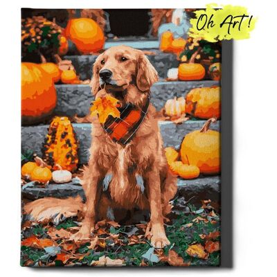 Malowanie Po Numerach 40x50cm Retriever i dynie – Jesienny Obraz do Malowania po numerach Zwierzęta – Oh Art! Malowanie Po Numerach 40x50cm Retriever i dynie – Jesienny Obraz do Malowania po numerach Zwierzęta – Oh Art!