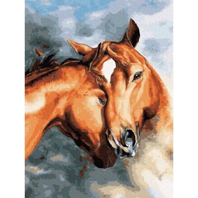 Norimpex Obraz Malowanie Po Numerach Na Krośnie + Rama Norimpex Obraz Malowanie Po Numerach Na Krośnie + Rama