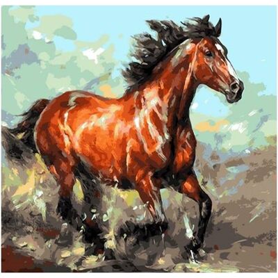 Norimpex Obraz Malowanie Po Numerach Rama W Zestawie 50X40 Koń Konie Konik Norimpex Obraz Malowanie Po Numerach Rama W Zestawie 50X40 Koń Konie Konik