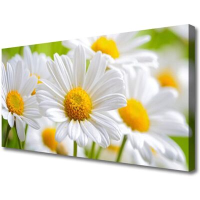 Inny producent Obraz na Płótnie Canvas z nadrukiem Stokrotki Roślina Natura 120x60 Inny producent Obraz na Płótnie Canvas z nadrukiem Stokrotki Roślina Natura 120x60