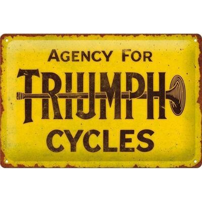 ART Tablica szyld TRIUMPH CYCLES szyld plakat blacha metal 20x30 ART Tablica szyld TRIUMPH CYCLES szyld plakat blacha metal 20x30