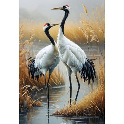 Norimpex Malowanie Po Numerach Dwa Żurawie Ptaki 40X50 Cm Na Ramie Kreatywne Norimpex Malowanie Po Numerach Dwa Żurawie Ptaki 40X50 Cm Na Ramie Kreatywne