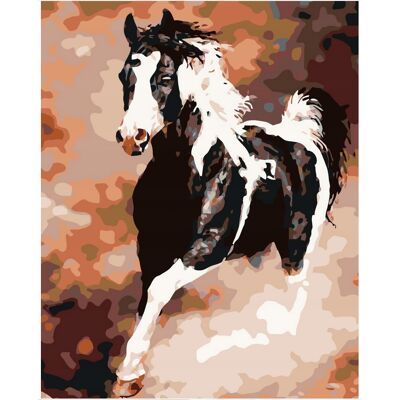 Norimpex Malowanie Po Numerach Galop Konia W Piachu 40x50 Cm Na Ramie Norimpex Malowanie Po Numerach Galop Konia W Piachu 40x50 Cm Na Ramie