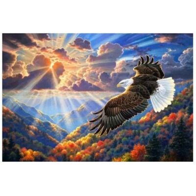 Norimpex Malowanie Po Numerach Orzeł W Chmurach 50X40 Cm Na Ramie Kreatywne Norimpex Malowanie Po Numerach Orzeł W Chmurach 50X40 Cm Na Ramie Kreatywne