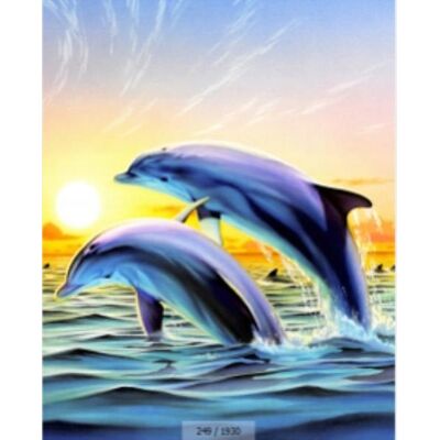 Norimpex Malowanie Po Numerach Skaczące Delfiny w Morzu 50X40 Cm Na Ramie Kreatywne Norimpex Malowanie Po Numerach Skaczące Delfiny w Morzu 50X40 Cm Na Ramie Kreatywne