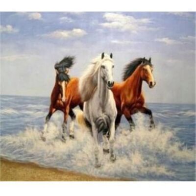 Norimpex Malowanie Po Numerach Trzy Galopujące Konie 40x50 Cm Na Ramie Kreatywne Norimpex Malowanie Po Numerach Trzy Galopujące Konie 40x50 Cm Na Ramie Kreatywne
