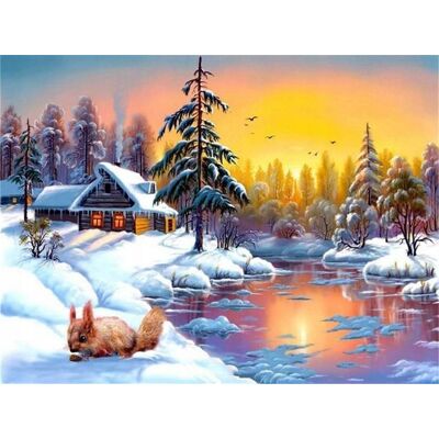 Norimpex Malowanie Po Numerach Wiewiórka Na Tle Domu Zimą 50X40 Cm Na Ramie Norimpex Malowanie Po Numerach Wiewiórka Na Tle Domu Zimą 50X40 Cm Na Ramie