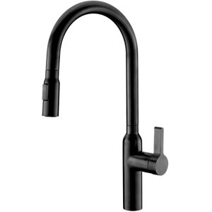 AQUILA Hydria II Pull Down Matte Black AQUILA Hydria II Pull Down Matte Black