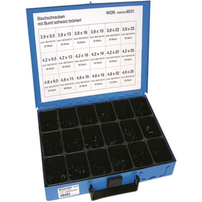 DRESSELHAUS 4499/000/06 8531 Zestaw śrub - Screw Set DRESSELHAUS 4499/000/06 8531 Zestaw śrub - Screw Set