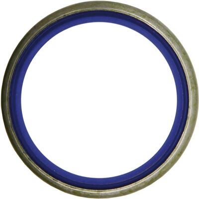 Granit Pierścień Skrobak Uszczelniacz 40x50x4mm Fendt 100 200 300 X540425000000 Granit Pierścień Skrobak Uszczelniacz 40x50x4mm Fendt 100 200 300 X540425000000