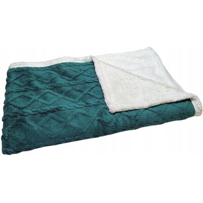 Inny producent Gruby koc dwustronny 'Sweterek i Baranek' rozmiar 160x200 cm, kolor zielony Inny producent Gruby koc dwustronny 'Sweterek i Baranek' rozmiar 160x200 cm, kolor zielony