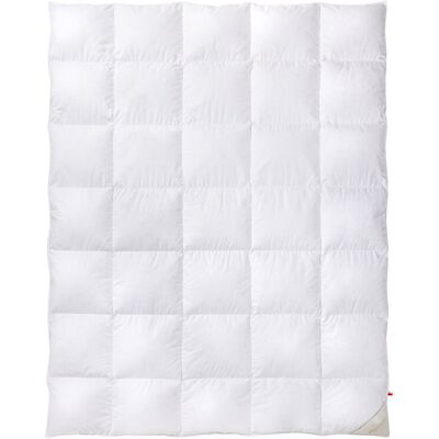 PIÓREX Kołdra PIOREX KOMFORT Letnia White Flower 220x200 ∣ 85% Puch Gęsi ∣ Antyalergiczna, NOMITE PIÓREX Kołdra PIOREX KOMFORT Letnia White Flower 220x200 ∣ 85% Puch Gęsi ∣ Antyalergiczna, NOMITE