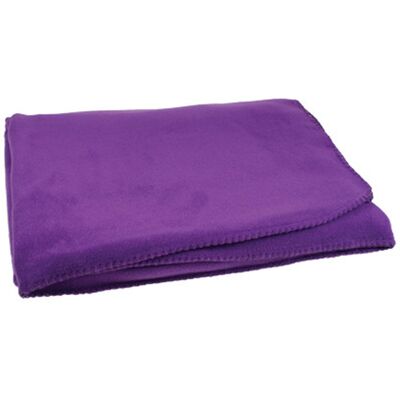L-Merch Podstawowy Koc Piknikowy (OS / Purpurowy) L-Merch Podstawowy Koc Piknikowy (OS / Purpurowy)