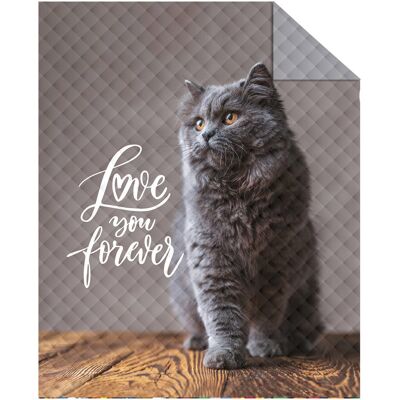 Detexpol Narzuta młodzieżowa pikowana, wzór kotek 'love you forever', 170x210 cm Detexpol Narzuta młodzieżowa pikowana, wzór kotek 'love you forever', 170x210 cm