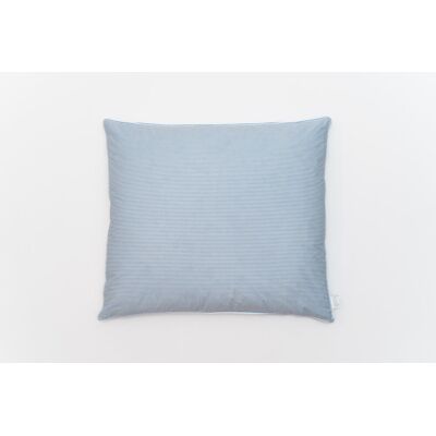 LECH-POL Poduszka Puchowa White & Blue 50x60 cm LECH-POL Poduszka Puchowa White & Blue 50x60 cm