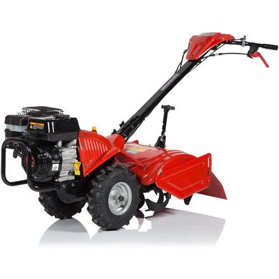 Glebogryzarka HGS 65 XGTL HORTMASZ Spalinowa z napędem Glebogryzarka HGS 65 XGTL HORTMASZ Spalinowa z napędem