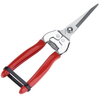 Inny producent Profesjonalne Nożyce Do Szczepienia Drzew Owocowych I Przycinania - Bonsai, Ogrodnicze, Kosiarek, Sekatory Clippers Inny producent Profesjonalne Nożyce Do Szczepienia Drzew Owocowych I Przycinania - Bonsai, Ogrodnicze, Kosiarek, Sekatory Clippers