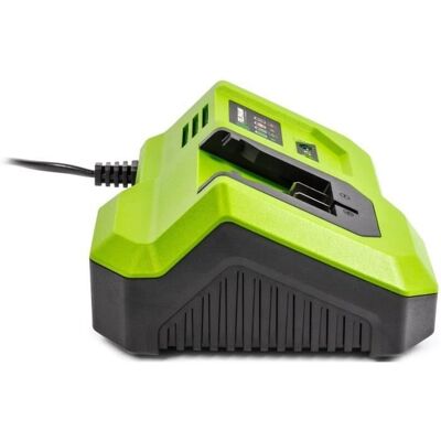 Ładowarka baterii FIELDMANN FDUZ 79200 20V - Szybko 2Ah w 30 min Ładowarka baterii FIELDMANN FDUZ 79200 20V - Szybko 2Ah w 30 min