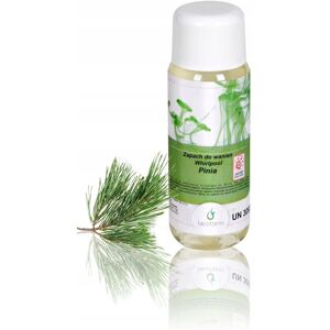 Chemoform Zapach do basenu z hydromasażem Basenu Whirlpool Wanny Spa Pinia Chemoform Zapach do basenu z hydromasażem Basenu Whirlpool Wanny Spa Pinia