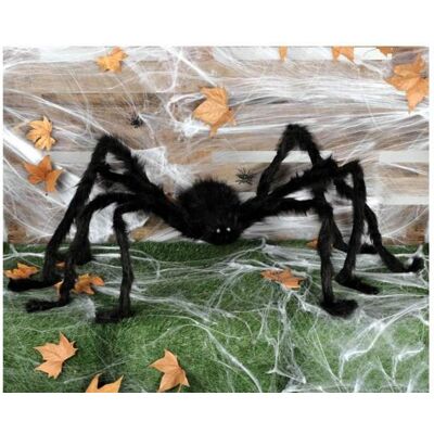 Aster, pająk na Halloween Aster, pająk na Halloween