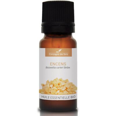 Inny producent Kadzidłowiec - Naturalny Olejek Eteryczny 10 Ml / Compagnie Des Sens Inny producent Kadzidłowiec - Naturalny Olejek Eteryczny 10 Ml / Compagnie Des Sens