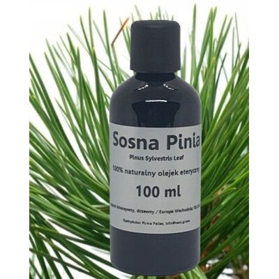 Inny producent Olejek Eteryczny Naturalny Sosna Pinia 100 Ml Inny producent Olejek Eteryczny Naturalny Sosna Pinia 100 Ml