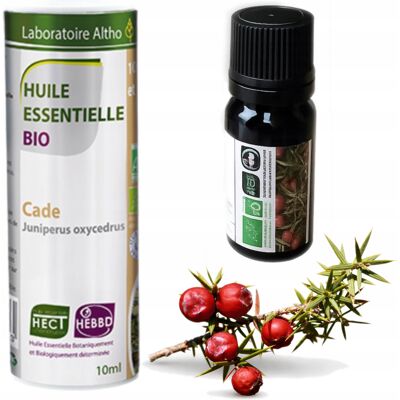 Inny producent Olejek Eteryczny Naturalny Jałowiec Kolczasty Cade Bio Laboratoire Altho Inny producent Olejek Eteryczny Naturalny Jałowiec Kolczasty Cade Bio Laboratoire Altho