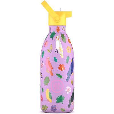 Cool Bottles Butelka termiczna Kids 500 ml Fly Free Cool Bottles Butelka termiczna Kids 500 ml Fly Free