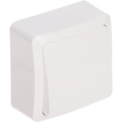 ŁĄCZNIK JEDNOBIEGUNOWY BERG/3715-00/EPN 250 V 10 A Elektro-Plast ŁĄCZNIK JEDNOBIEGUNOWY BERG/3715-00/EPN 250 V 10 A Elektro-Plast