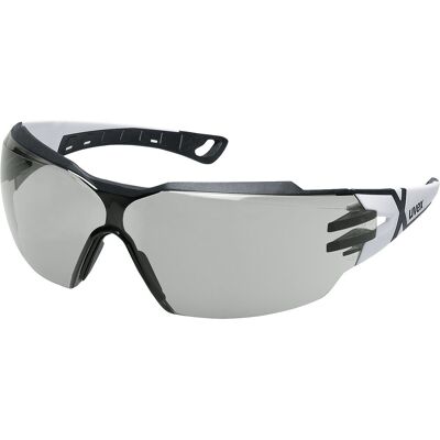 Okulary ochronne UVEX PHEOS CX2 S Okulary ochronne UVEX PHEOS CX2 S