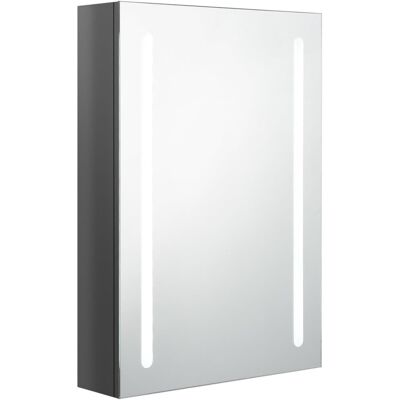 VMP Szafka łazienkowa z lustrem i LED, lśniąca szarość, 50x13x70 cm VMP Szafka łazienkowa z lustrem i LED, lśniąca szarość, 50x13x70 cm