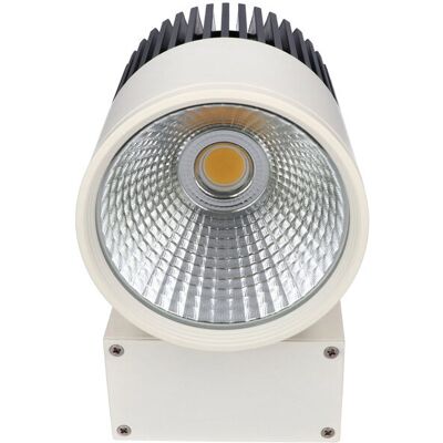 Prescot Projektor LED szynowy 46W 3000K w kolorze białym Prescot Projektor LED szynowy 46W 3000K w kolorze białym
