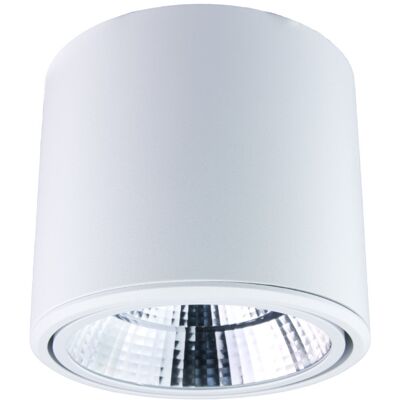 DPM Reflektor LED punktowy regulowany natynkowy 20 W 1600 lm 4000 K biały X-LINE DPM Reflektor LED punktowy regulowany natynkowy 20 W 1600 lm 4000 K biały X-LINE