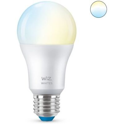 Wiz Żarówka Led Bulb 8W E27 C/Z Mat Wiz Żarówka Led Bulb 8W E27 C/Z Mat