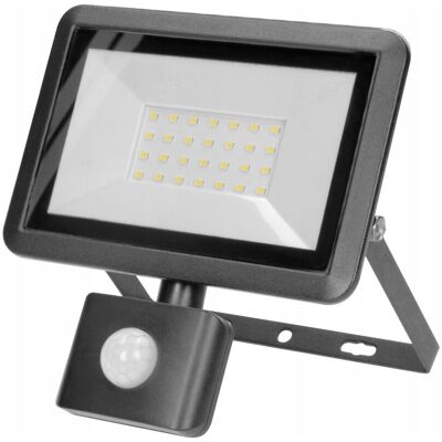 Orno REFLEKTOR Z CZUJNIKIEM RUCHU AD-NL-6254BLR4 ADVITI Orno REFLEKTOR Z CZUJNIKIEM RUCHU AD-NL-6254BLR4 ADVITI