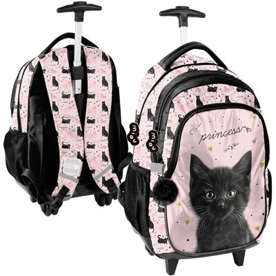 Paso Plecak tornister szkolny na kółkach Black Cat PP26BC-997 Paso Plecak tornister szkolny na kółkach Black Cat PP26BC-997