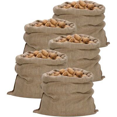 Vidaxl Worki Jutowe, 5 Szt., 100x110 Cm, 100% Juta, 340 G/m² Vidaxl Worki Jutowe, 5 Szt., 100x110 Cm, 100% Juta, 340 G/m²