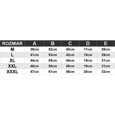 F4 4F MÄSKIE KRĂ“TKIE SPODENKI SZORTY SPORTOWE / rozm L F4 4F MÄSKIE KRĂ“TKIE SPODENKI SZORTY SPORTOWE / rozm L