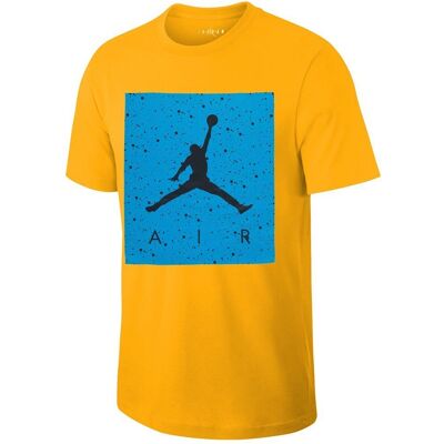 Nike Jordan Poolside Tee Nike Jordan Poolside Tee