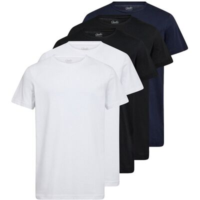JBS Textile Group A/S Koszulka Męska Claudio T-shirt 100% Bawełna 5-Pak Mix Duńska jakość — XL JBS Textile Group A/S Koszulka Męska Claudio T-shirt 100% Bawełna 5-Pak Mix Duńska jakość — XL